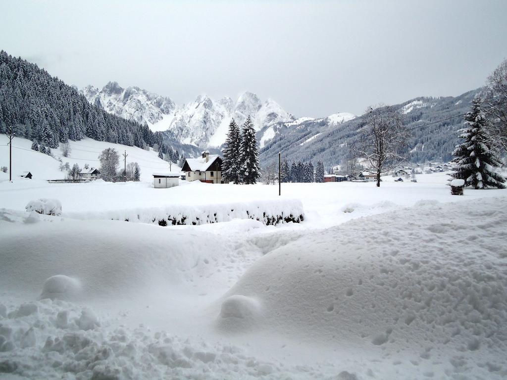 Apartamento Haus Grünwald Gosau Exterior foto